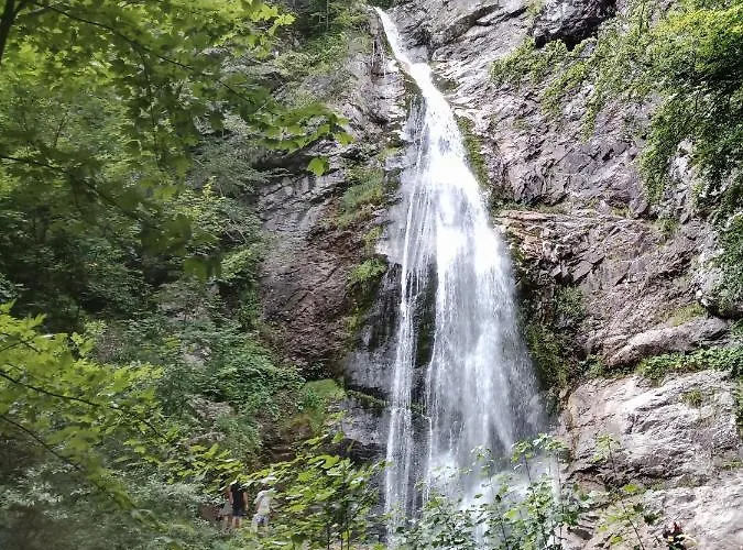 Tatil Evi U Kuba Kralovany